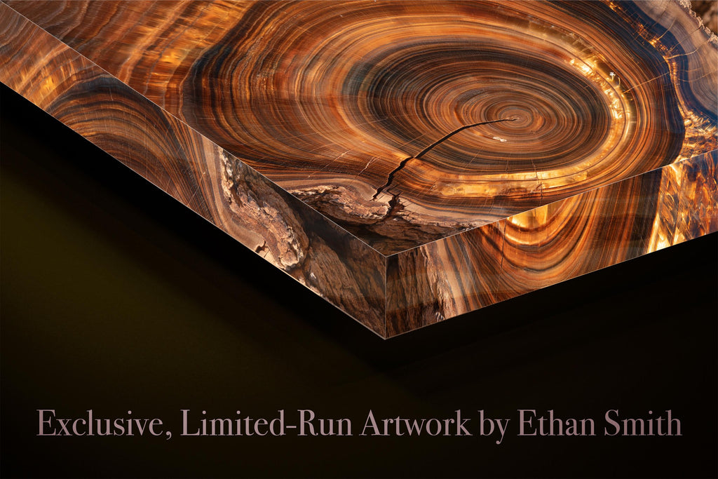 Imperial Petranova - Crystal AcrylGlass Wall Art – Petrified Wood Organic Statement Artwork